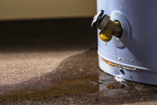 Carpet water damage restoration in Folsom, CA