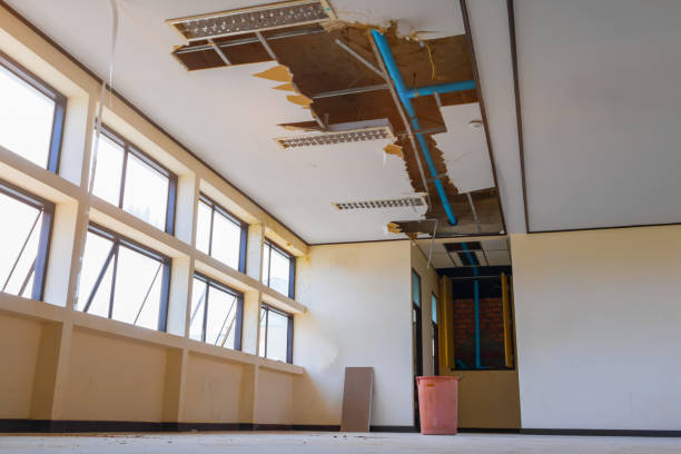 Best Water damage cleanup near me  in Folsom, CA
