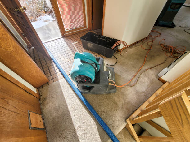 Best Flood restoration services  in Folsom, CA