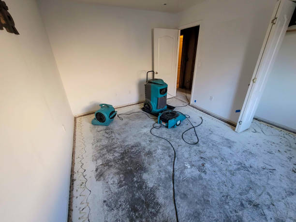 Best Water damage repair service  in Folsom, CA