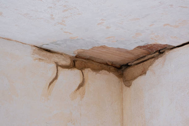 Best Emergency water extraction  in Folsom, CA