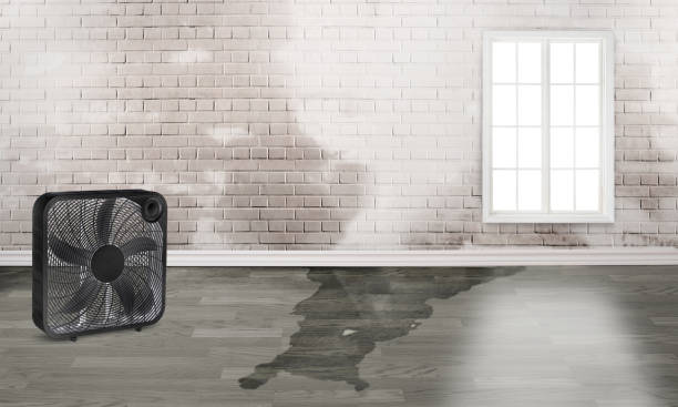 Folsom, CA Water damage restoration Company