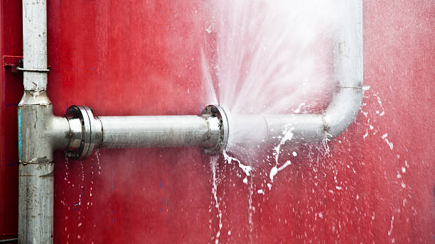 Best Carpet water damage restoration  in Folsom, CA