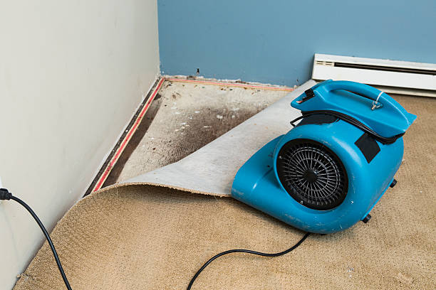 Best Basement water damage restoration  in Folsom, CA